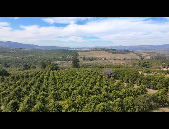 66HA FARM FOR SALE IN NELSPRUIT RURAL